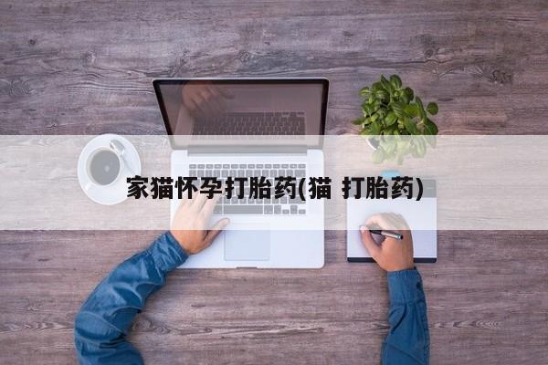 米非司酮网上药店微信家猫怀孕打胎药(猫 打胎药)
