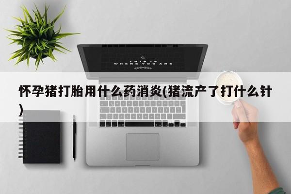 米非司酮网上药店微信怀孕猪打胎用什么药消炎(猪流产了打什么针)
